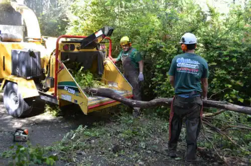 tree services Happy Valley